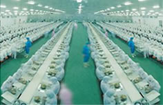 ʳƷ���a(ch��n)